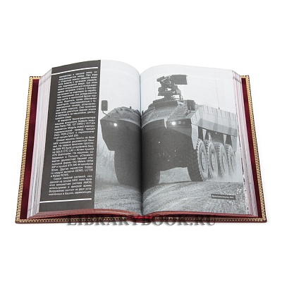 Миниатюра - 