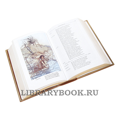 Миниатюра - 