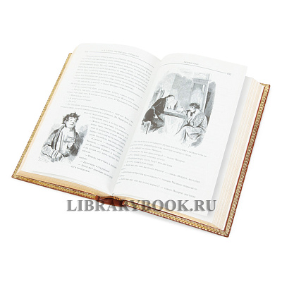 Миниатюра - 