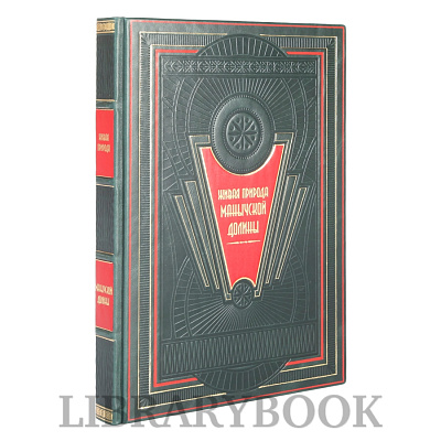 Миниатюра - 