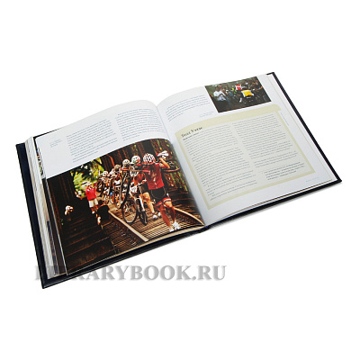 Миниатюра - 