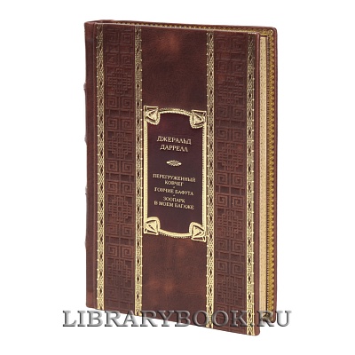 Миниатюра - 