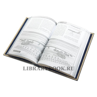 Миниатюра - 