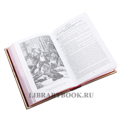 Миниатюра - 