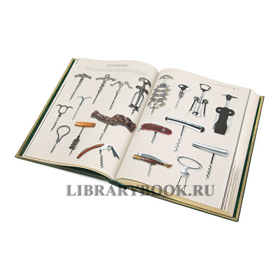 Миниатюра - 