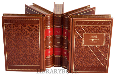 Миниатюра - 