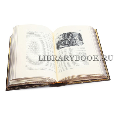 Миниатюра - 