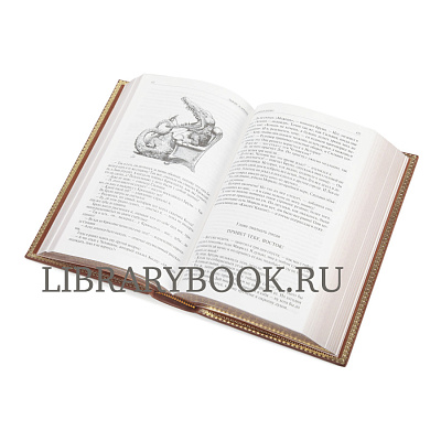 Миниатюра - 