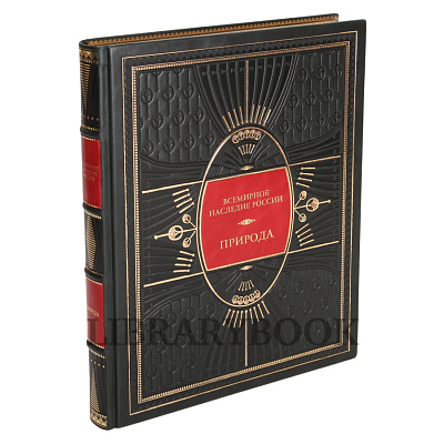 Миниатюра - 