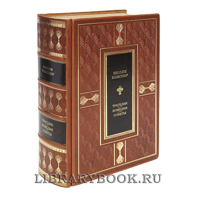 Миниатюра - 