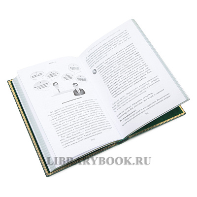 Миниатюра - 