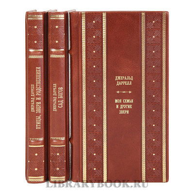 Миниатюра - 