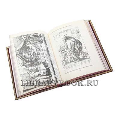 Миниатюра - 