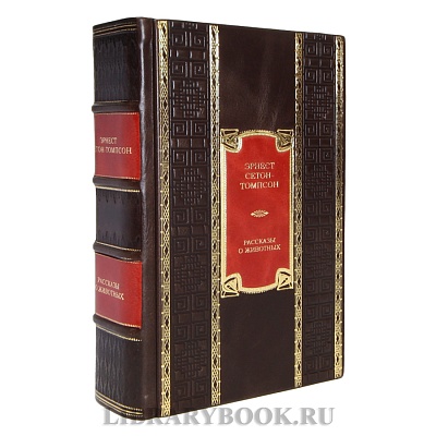 Миниатюра - 