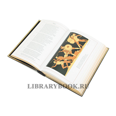 Миниатюра - 