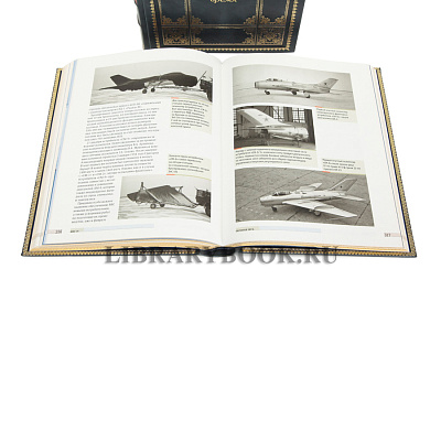 Миниатюра - 