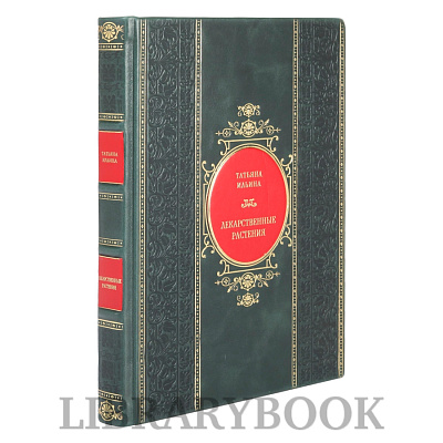 Миниатюра - 