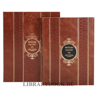 Миниатюра - 