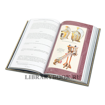 Миниатюра - 