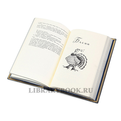 Миниатюра - 