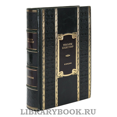 Миниатюра - 