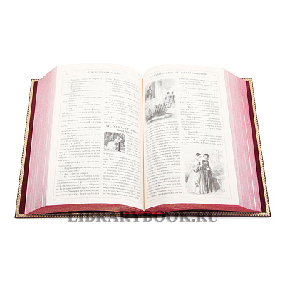 Миниатюра - 