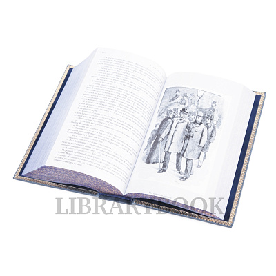 Миниатюра - 