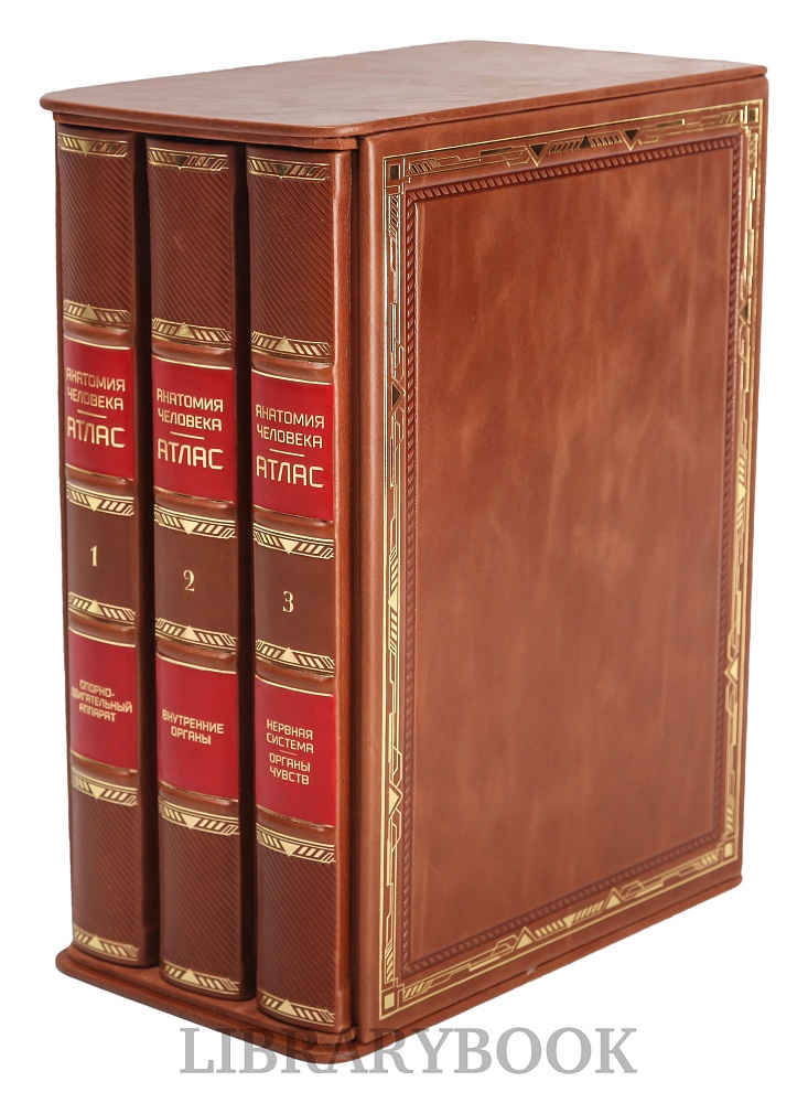Подарочное издание книги Атлас анатомии человека в 3-х томах в кожаном переплете