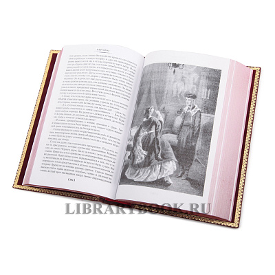 Миниатюра - 