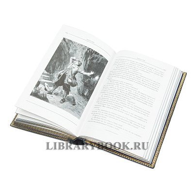 Миниатюра - 