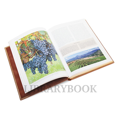 Миниатюра - 