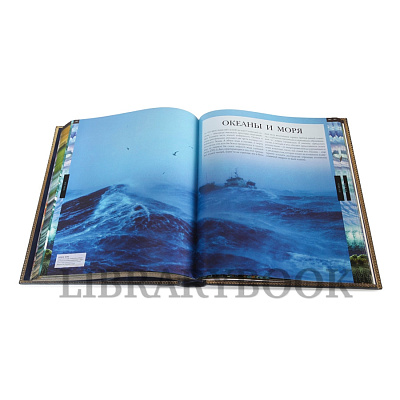 Миниатюра - 