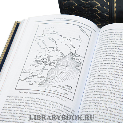 Миниатюра - 