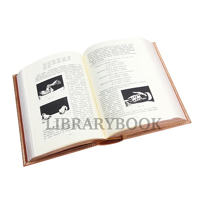 Миниатюра - 