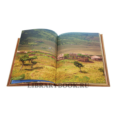 Миниатюра - 