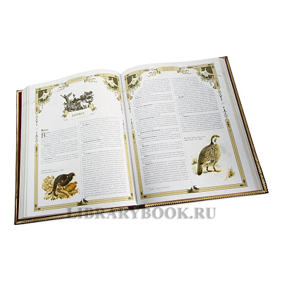 Миниатюра - 