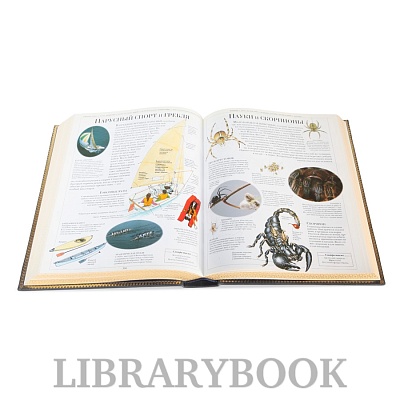 Миниатюра - 