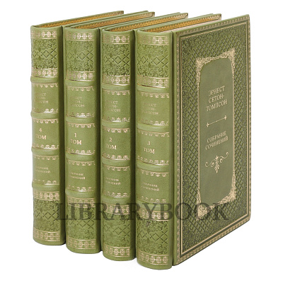 Миниатюра - 