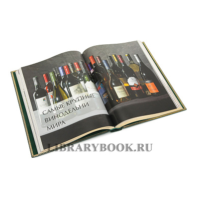 Миниатюра - 