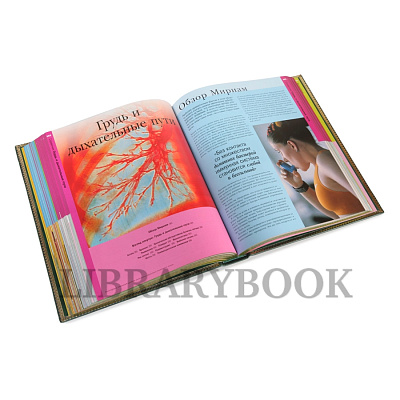 Миниатюра - 