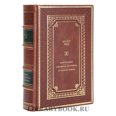 Миниатюра - 