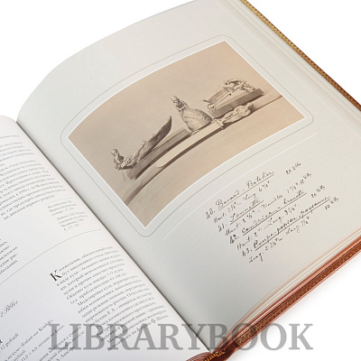 Миниатюра - 