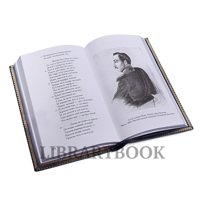 Миниатюра - 