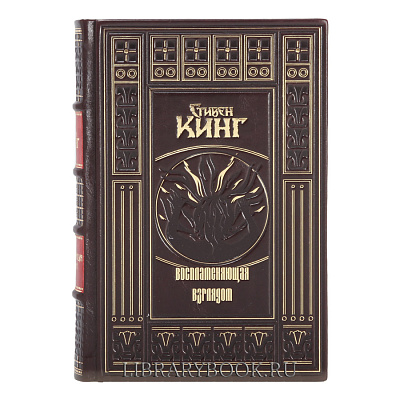Эксклюзивная книга Воспламеняющая взглядом Стивен Кинг в кожаном переплете
