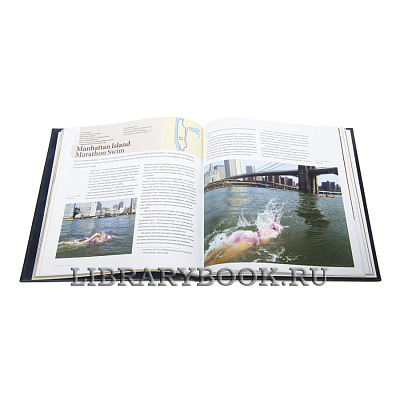 Миниатюра - 