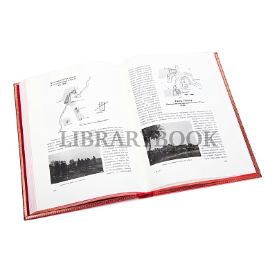 Миниатюра - 