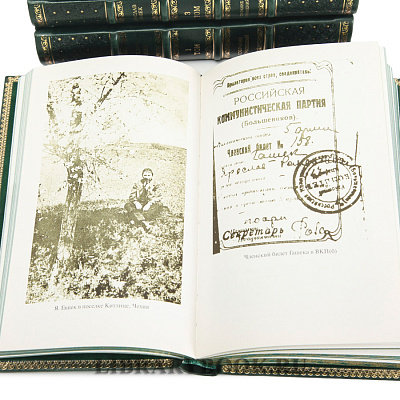 Миниатюра - 