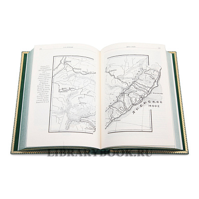 Миниатюра - 