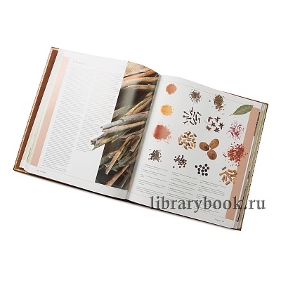 Миниатюра - 