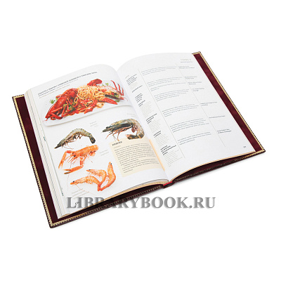 Миниатюра - 